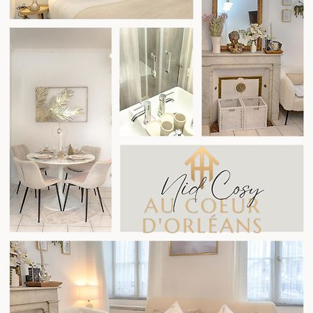 Appartamento Le Nid Cosy -Au Coeur D'Orléans Esterno foto