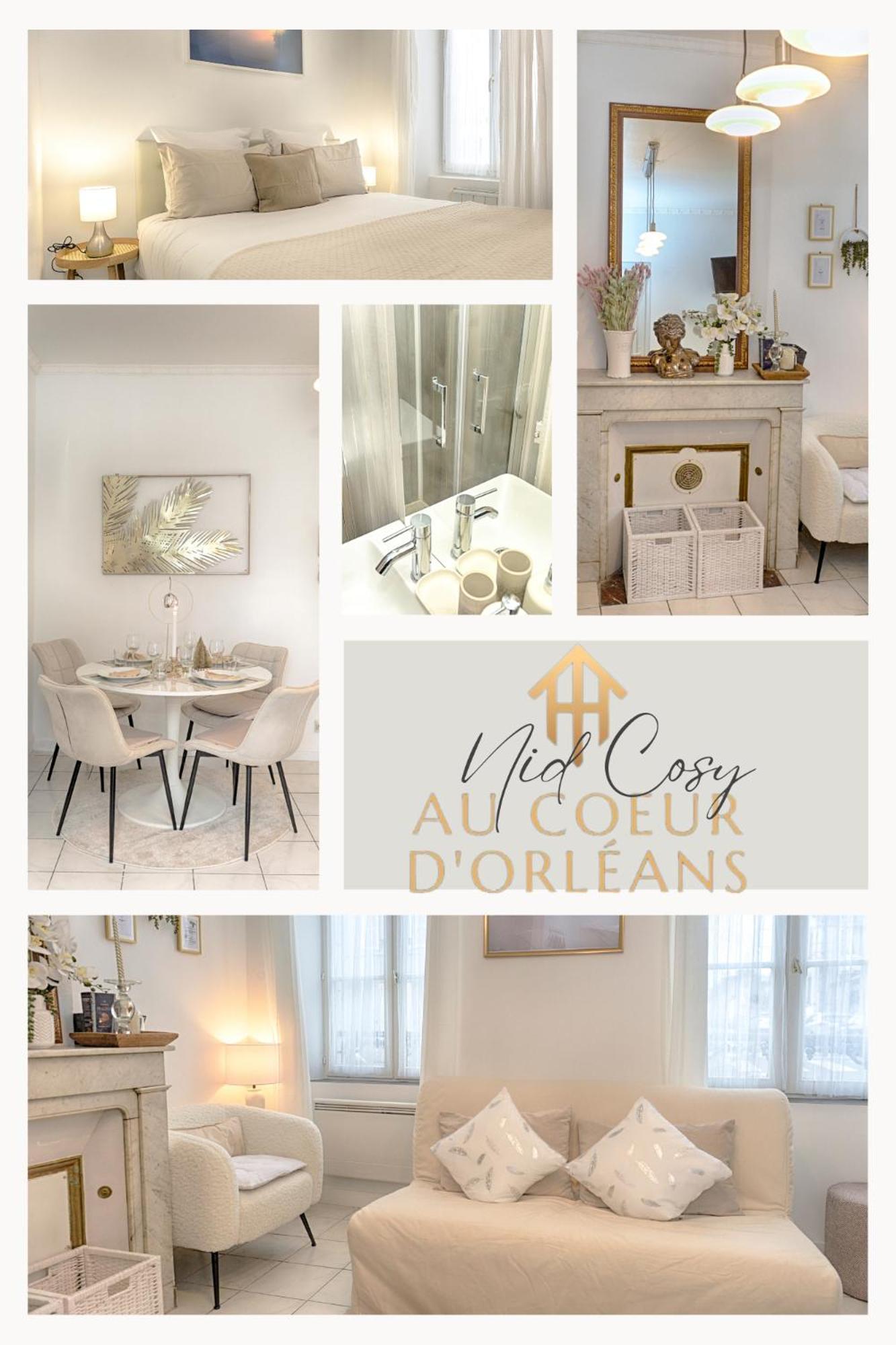 Appartamento Le Nid Cosy -Au Coeur D'Orléans Esterno foto